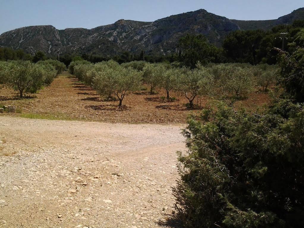 Le Mas Des Genets Saint-Rémy-de-Provence Exterior foto
